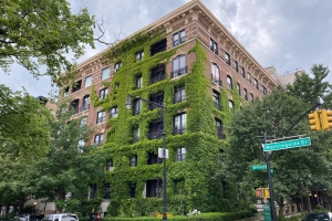 Ivy-covered Building