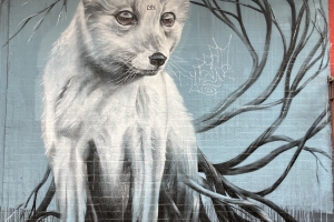 Fox by Vegan Flava