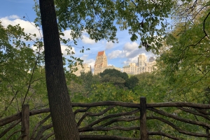 Yes - those buildings are along Fifth Avenue - from Central Park!