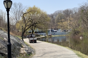 Along the Pond in Central Park