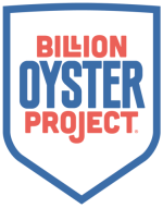 Billion Oyster Project